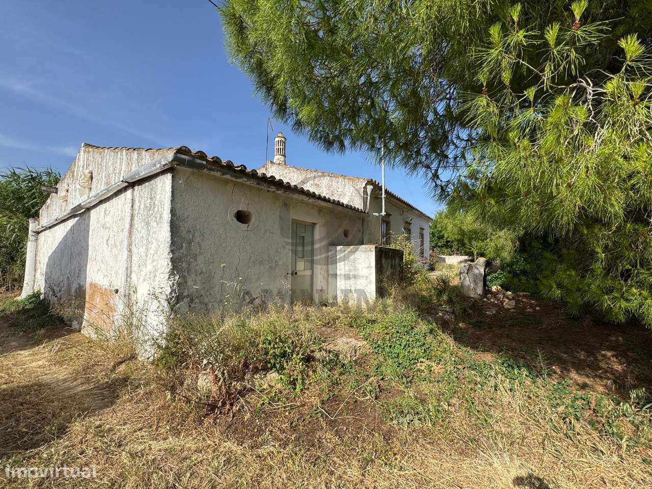 Quinta c/casas, eira e terreno misto – Chaveca, Faro-0