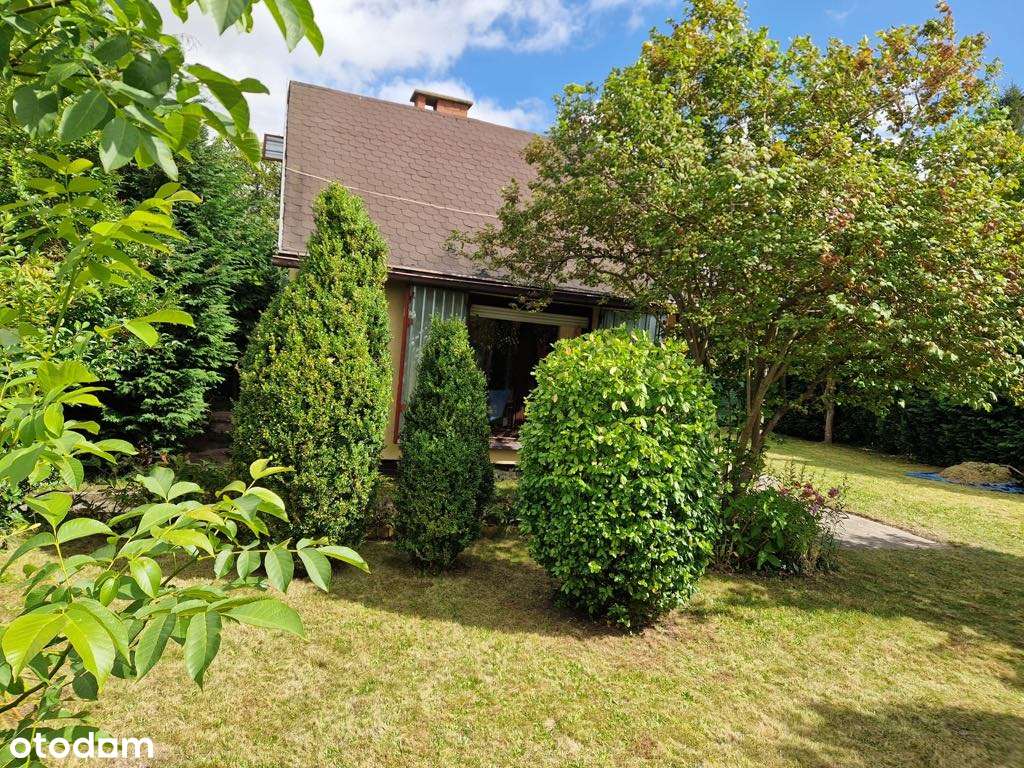 Zadbana działka ROD z piętrowym domkiem i wszystkimi mediami - Pełny obrazek: 5/7