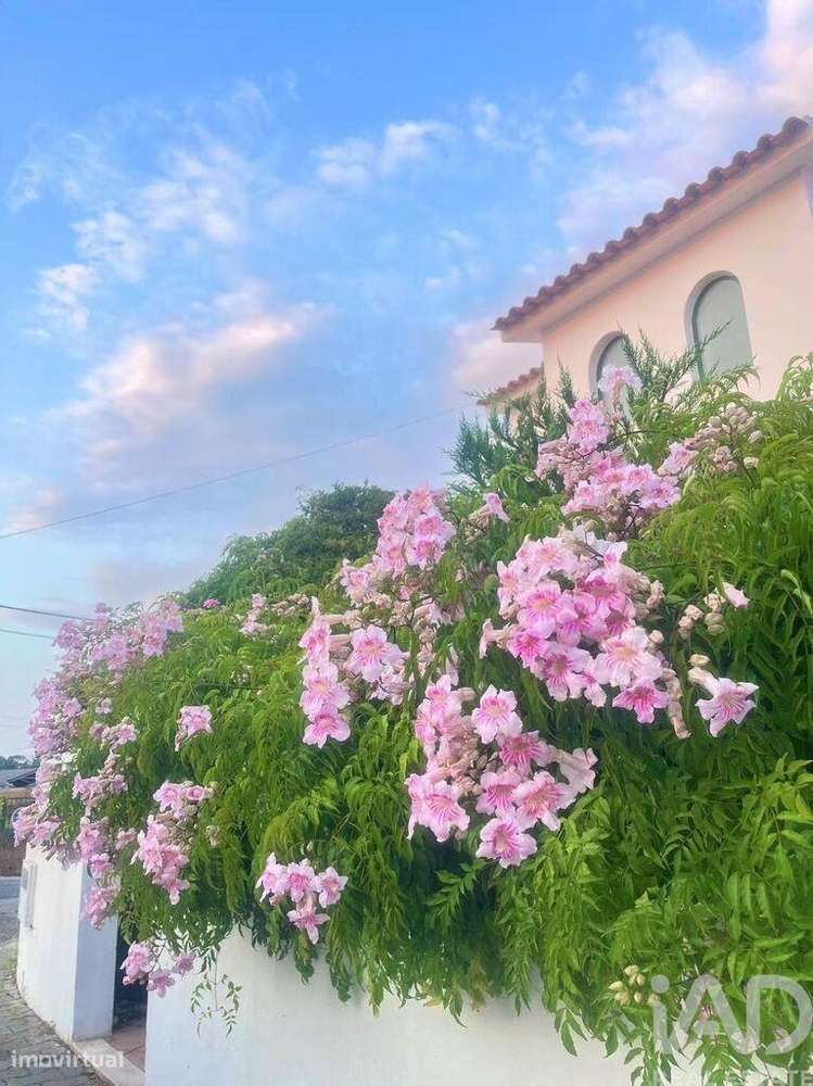 Casa tradicional T4 em Serra d'El-Rei de 179,00 m2 - Grande imagem: 4/30