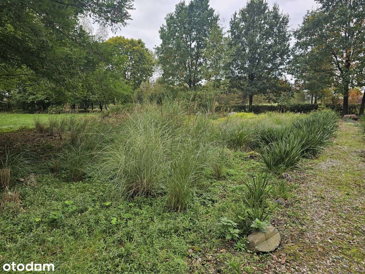 Działka wielofunkcyjna, Spa, Dom opieki, siedlisko-6