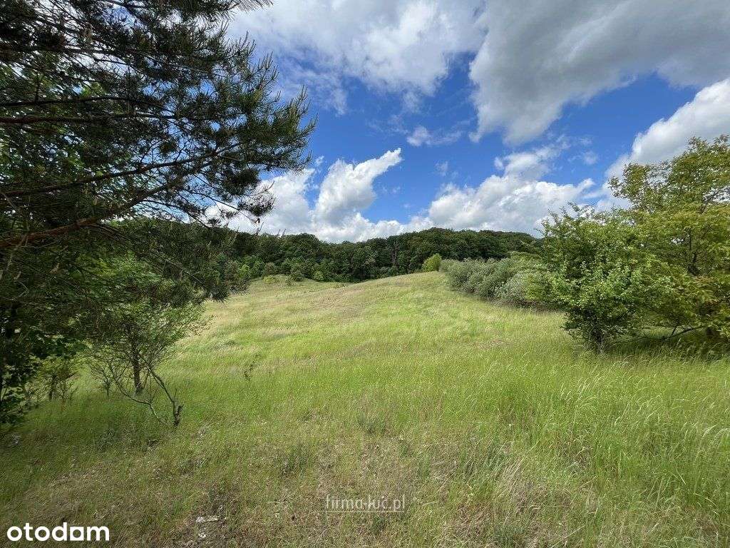 Dla Inwestora! Przy drodze głównej i lesie - Wz! - Pełny obrazek: 5/9