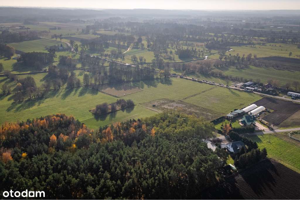 WZ i Dolne Wymiary w jednym - 3003 m2, k. Chełmna - Pełny obrazek: 4/5