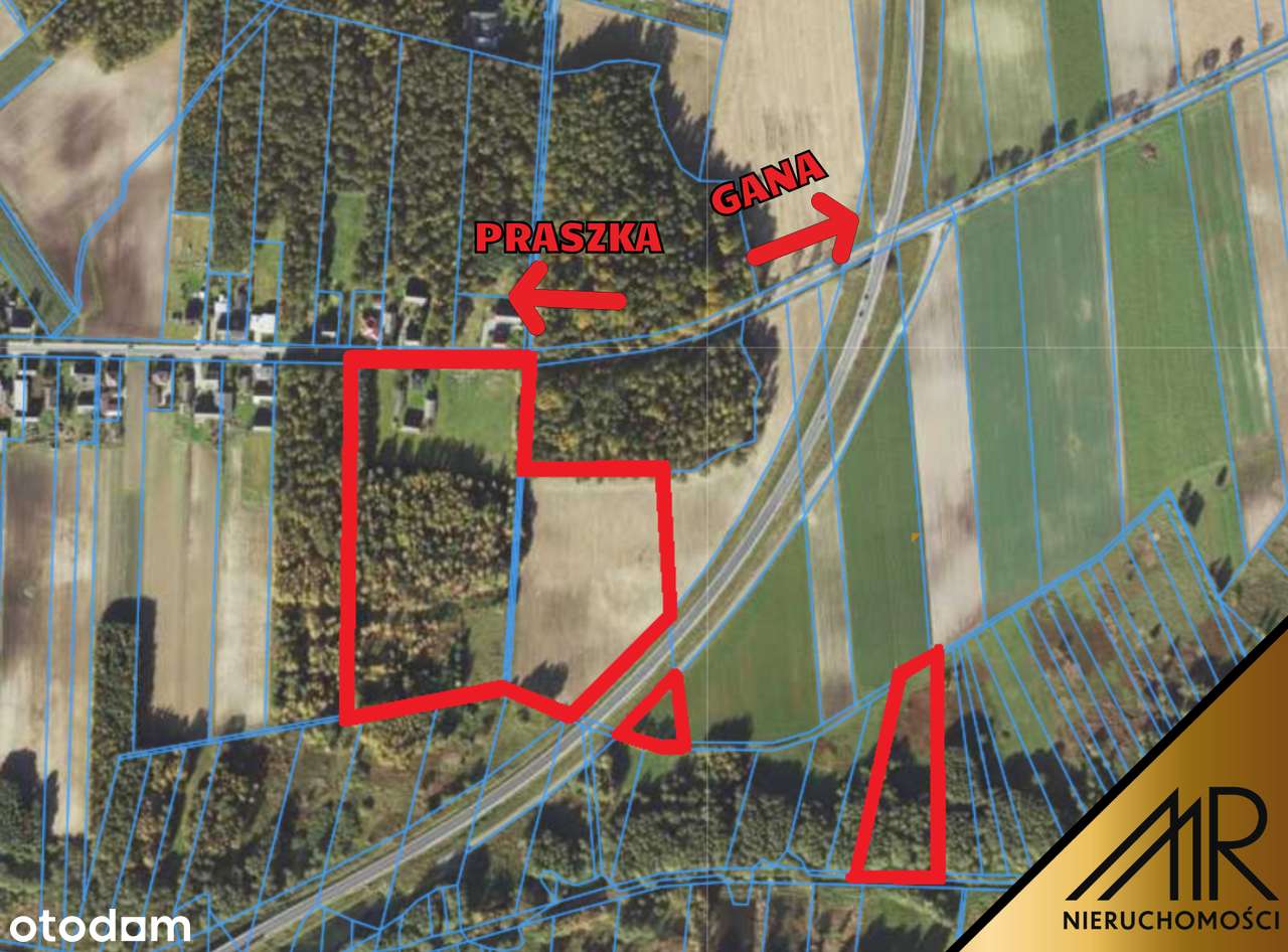 Siedlisko / ranczo / gospodarstwo / dom 6,4 ha + las + staw + zabudow. - Pełny obrazek: 2/5