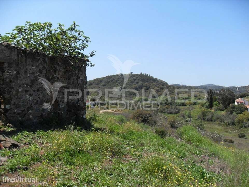 S. BARTOLOMEU MESSINES. Terreno misto com habitação em ruínas - Grande imagem: 2/15