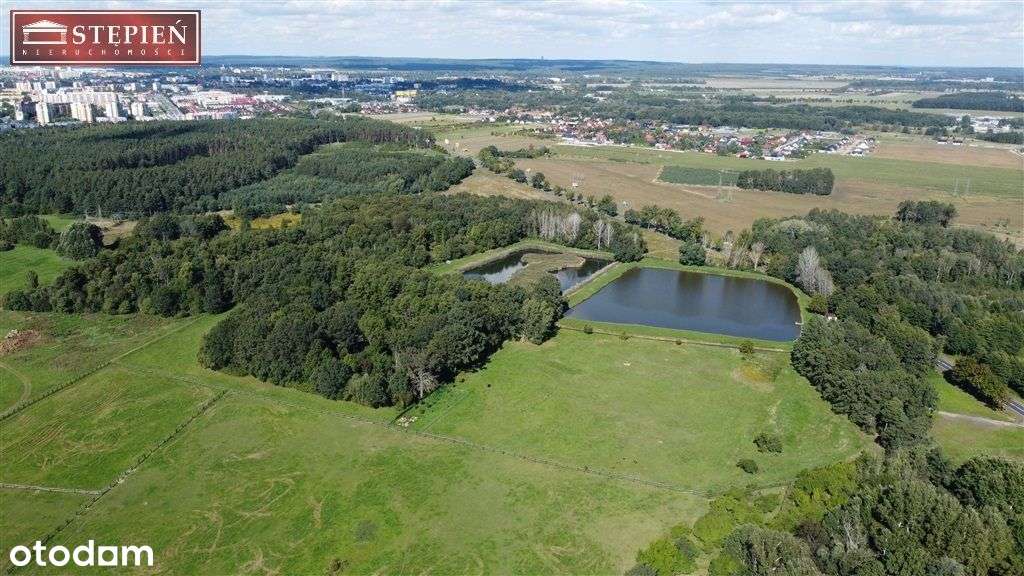 Gospodarstwo rybne z domem jednorodzinnym - Pełny obrazek: 4/12