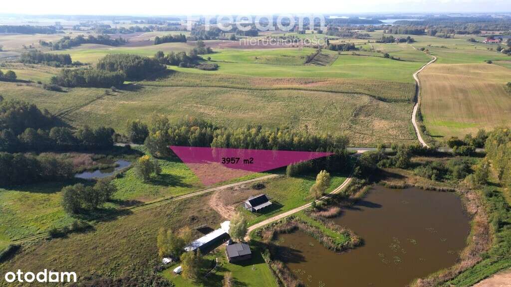 Malownicza działka z zagajnikiem na Mazurach-3957m - Pełny obrazek: 5/20