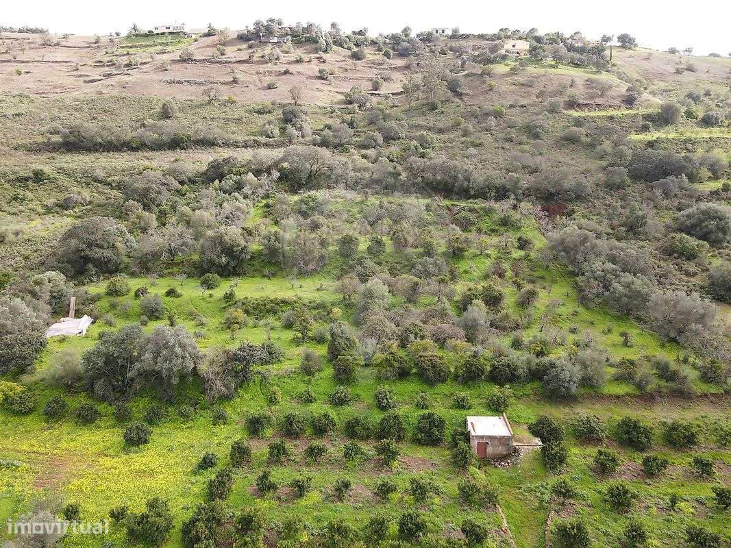 Terreno  para venda - Grande imagem: 4/10