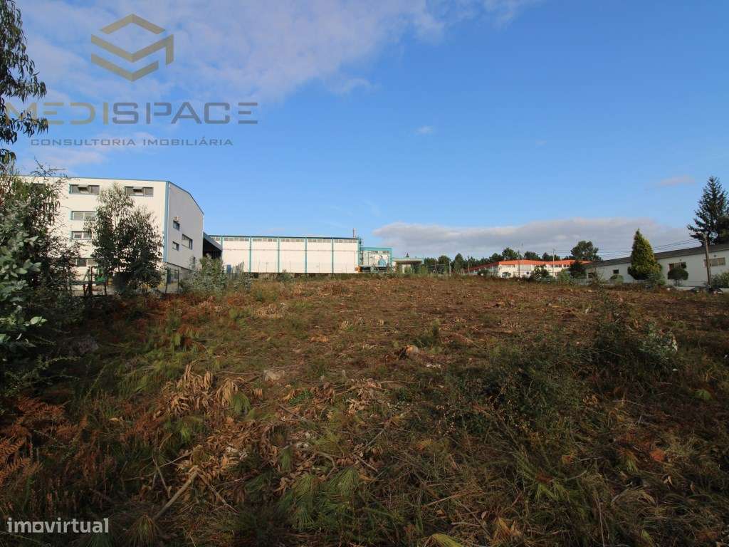 Terreno Industrial em Gaia , Avintes ( Fábrica Barbosa e Almeida)-15