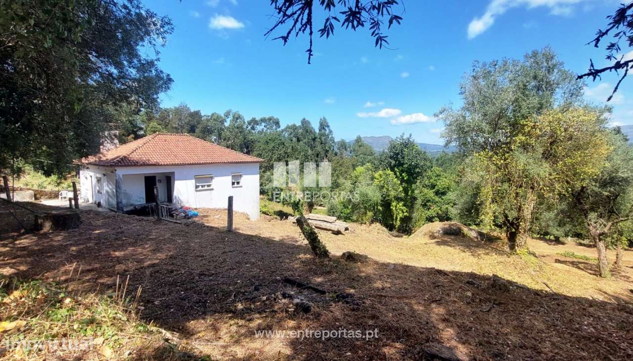 Venda de quintinha rural com 5.200m², Deão, Viana do Castelo - Grande imagem: 4/33