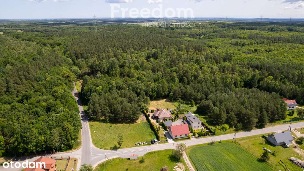 Cząstkowo - Dwa domy w cenie jednego- przy lesie ! - Pełny obrazek: 4/20
