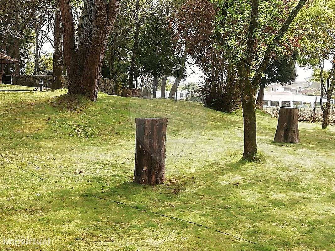 Quinta T3 para venda-16