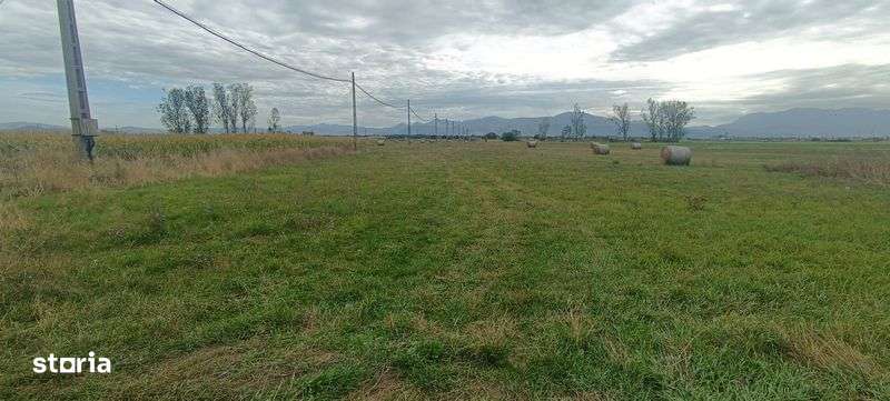 2 terenuri extravilan agricol codlea zona avicola dn1 - Imagine principală: 4/4