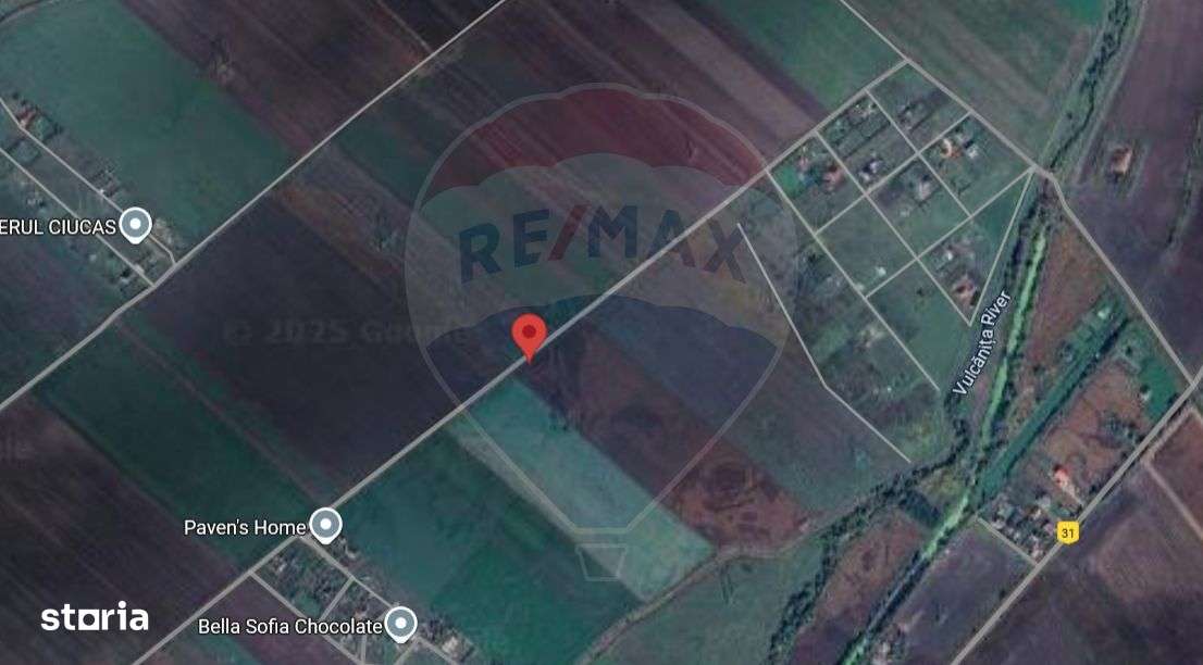 Teren 10.875 MP | Hălchiu |  Jud. Brasov - Imagine principală: 4/7