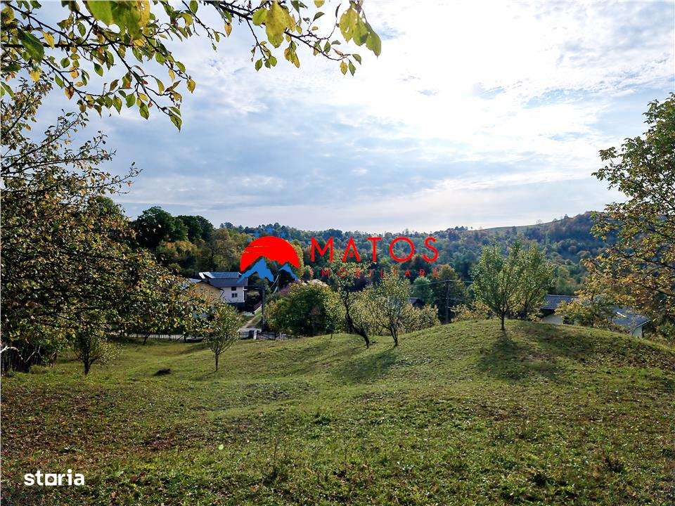 Teren intravilan 2918 mp de vânzare Talea, Prahova | 0% comision-2