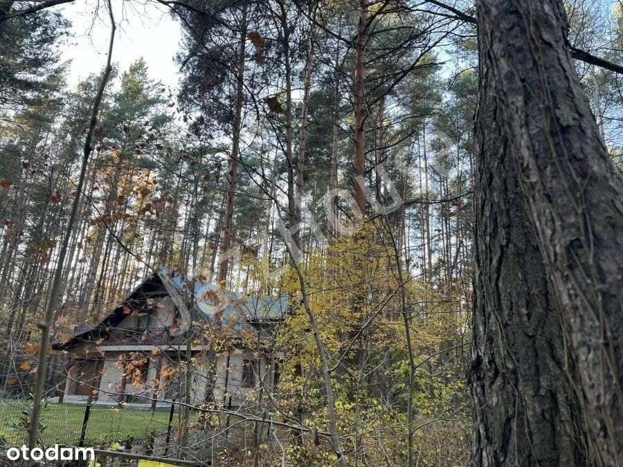 Na sprzedaż działka z możliwością zabudowy rekreac - Pełny obrazek: 4/6