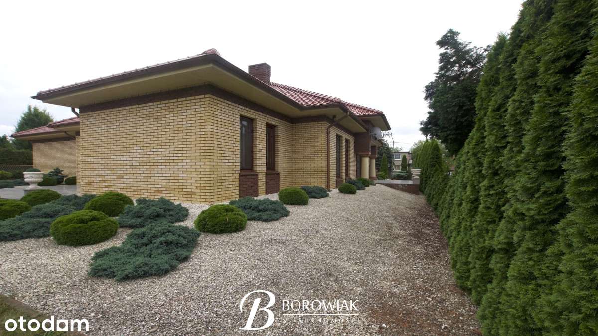 vip635800 - Pełny obrazek: 5/20