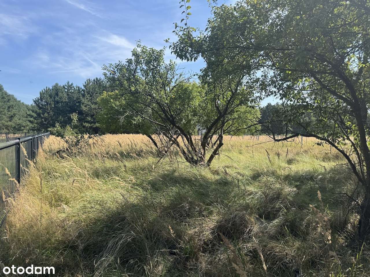 Wierzyce Osiedle Akacjowe - przy lesie-3