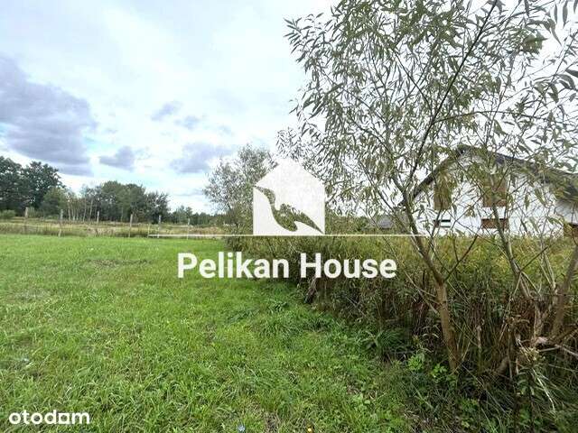 110/14136/OGS - Pełny obrazek: 1/5