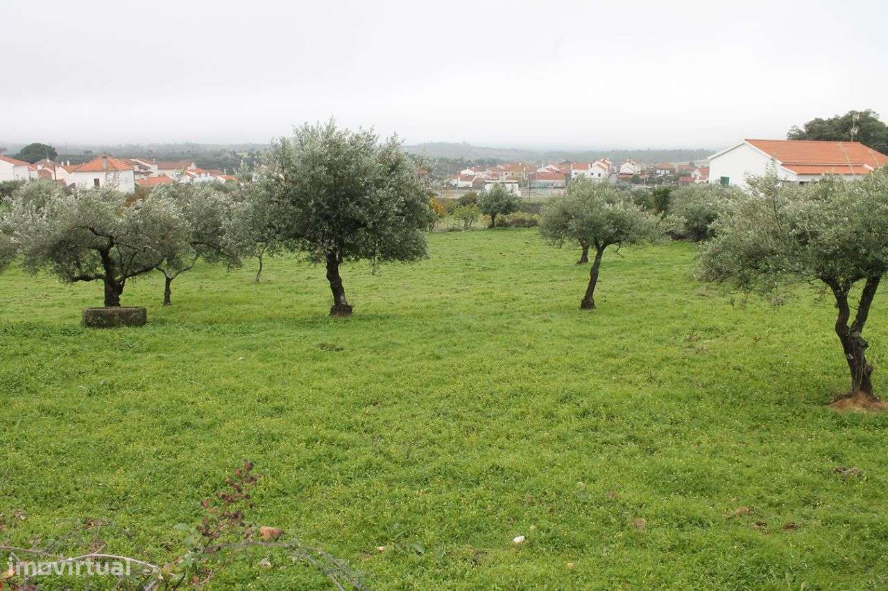 Terreno - Grande imagem: 5/7