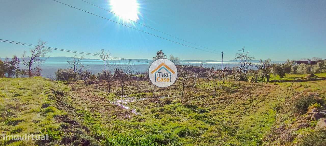 Terreno Rustico em Tondela - Grande imagem: 5/15