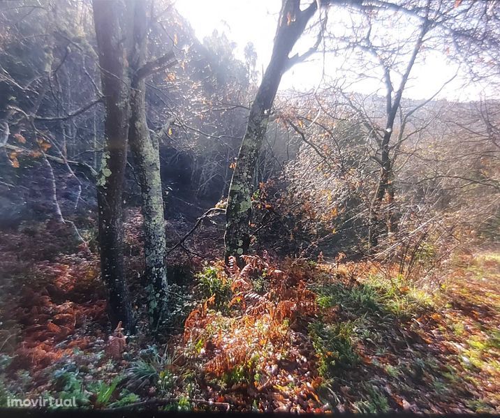 Terreno frente rio Douro com 7300 m2 perto da barragem de Crestuma