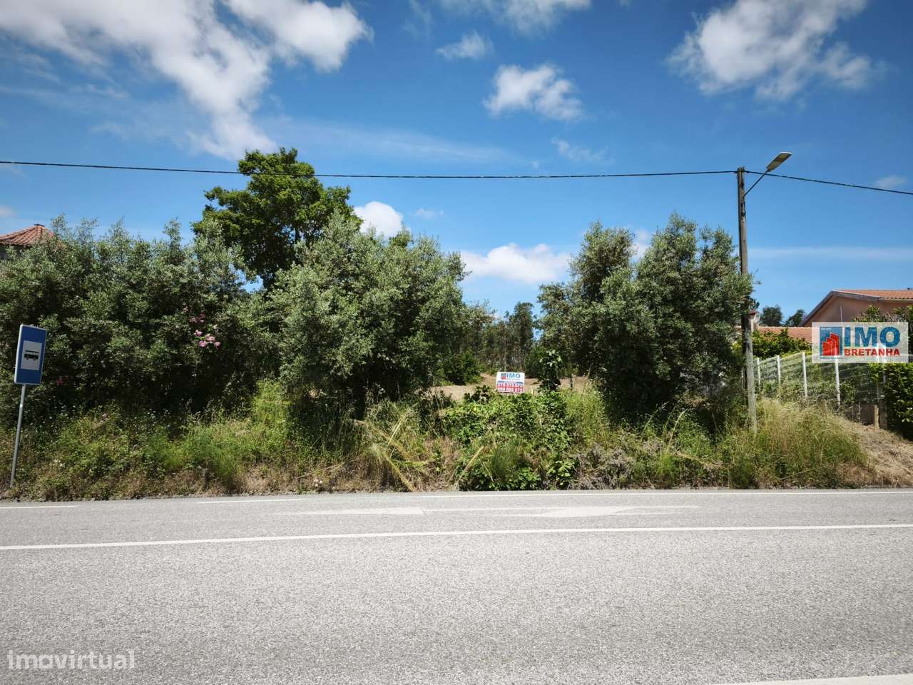 Lote de Terreno - Vila Nova de Poiares - Grande imagem: 5/10