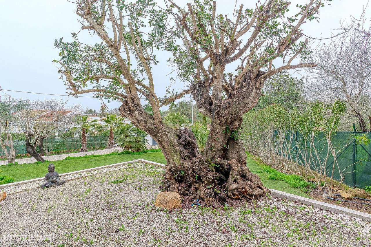 Moradia Renovada com Piscina em Quelfes, Olhão-30