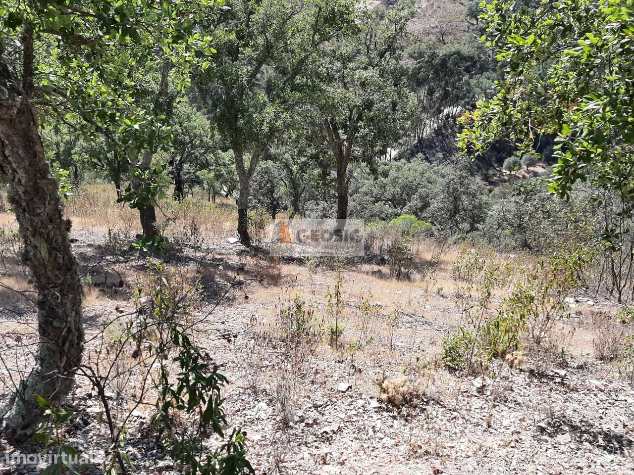 Terreno Rústico  Venda em Santa Clara-a-Nova e Gomes Aires,Almodôvar - Grande imagem: 5/17