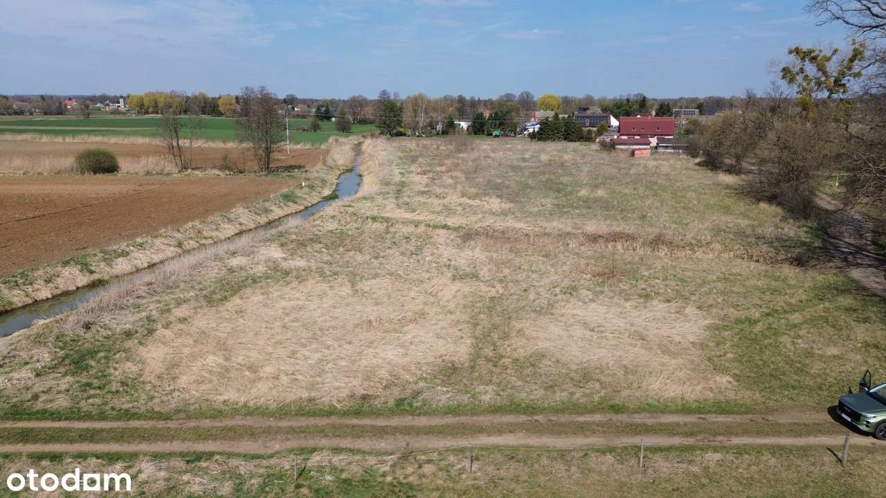 Atrakcyjna działka – 0,93 ha | Czatkowice, blisko Milicza-12