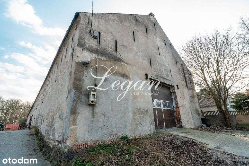 Obiekt komercyjny z halą i biurem – Janczewo - Pełny obrazek: 4/18