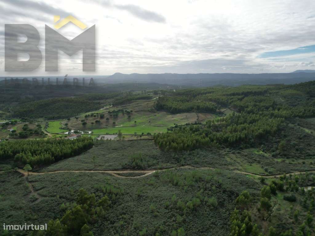Terreno rústico de 1.58hectares - Grande imagem: 3/5