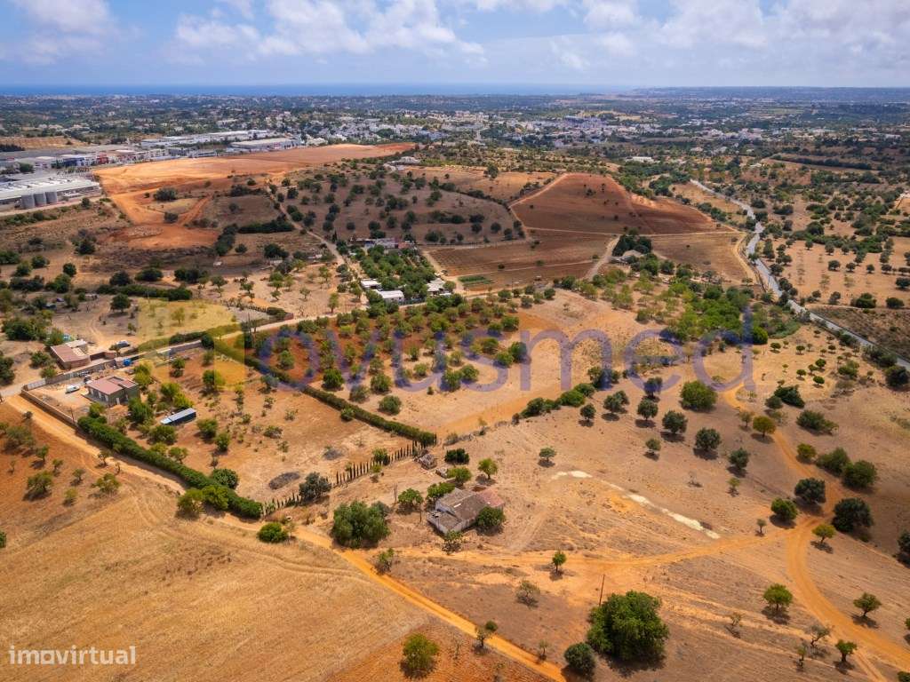 Quinta de 2,1 ha com Potencial para Turismo Rural- Guia Valverde-21