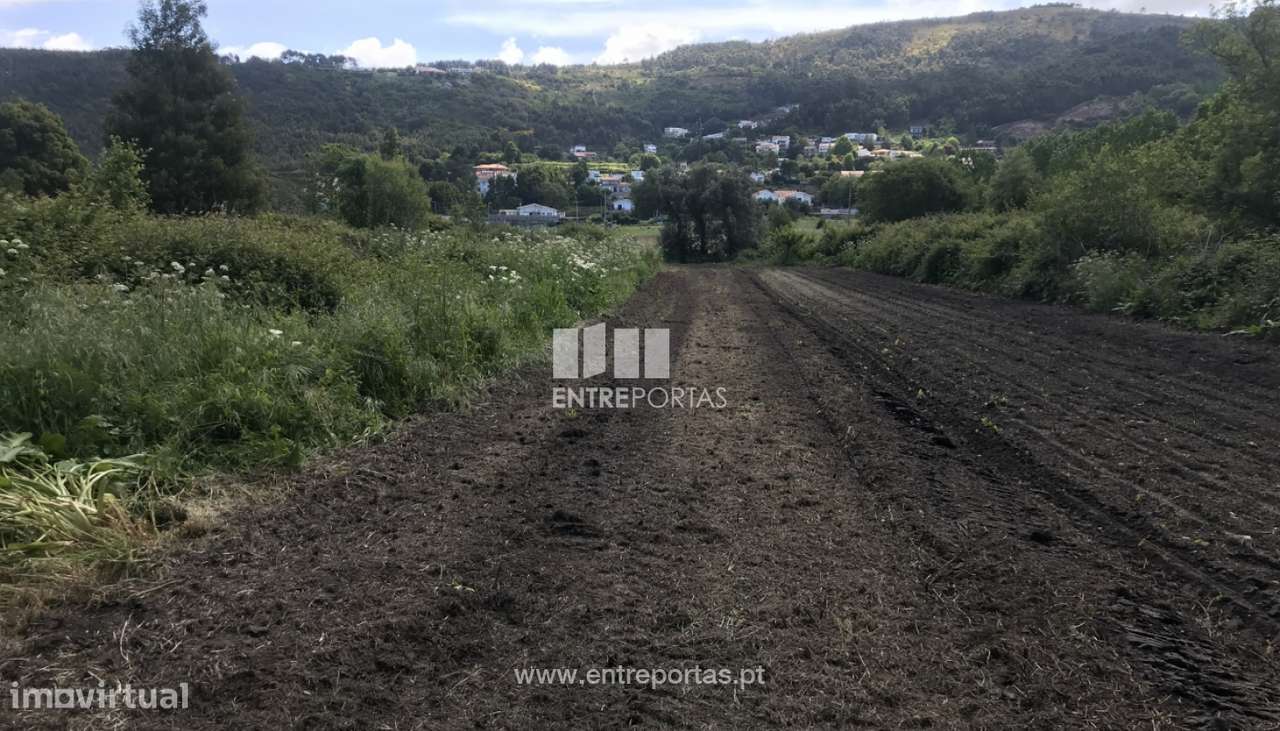 Terreno agrícola para venda, Cristelo, Caminha - Grande imagem: 5/6