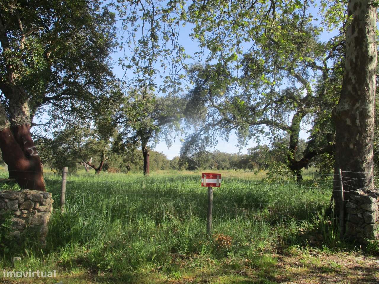 Quinta com habitação, poço, sobreiro, casa-7
