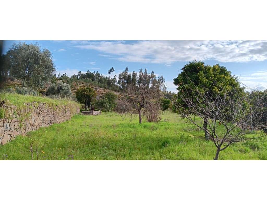 Terreno rustico com Construção Rural em aldeia a 5 minutos da vila ... - Grande imagem: 5/22