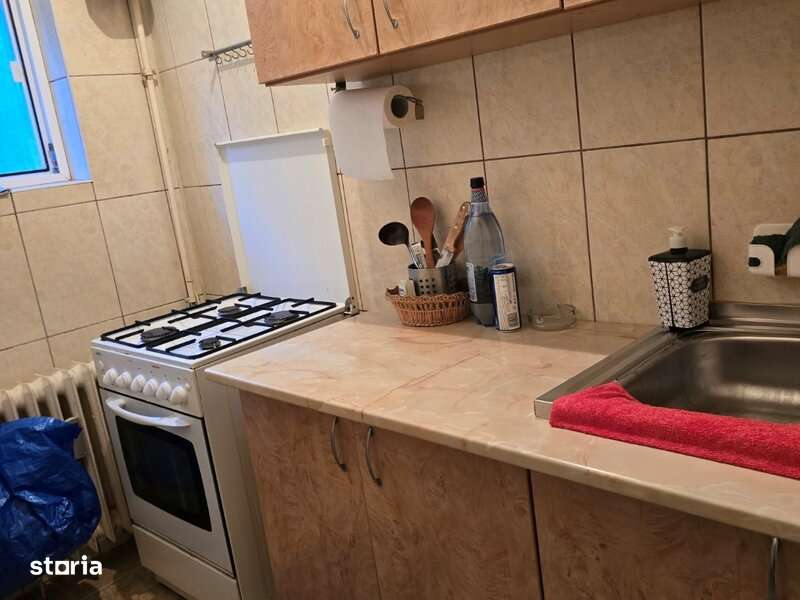 Theodor Pallady, 5 minute metrou 1 Decembrie 1918,  pe Patriotilor - Imagine principală: 2/14