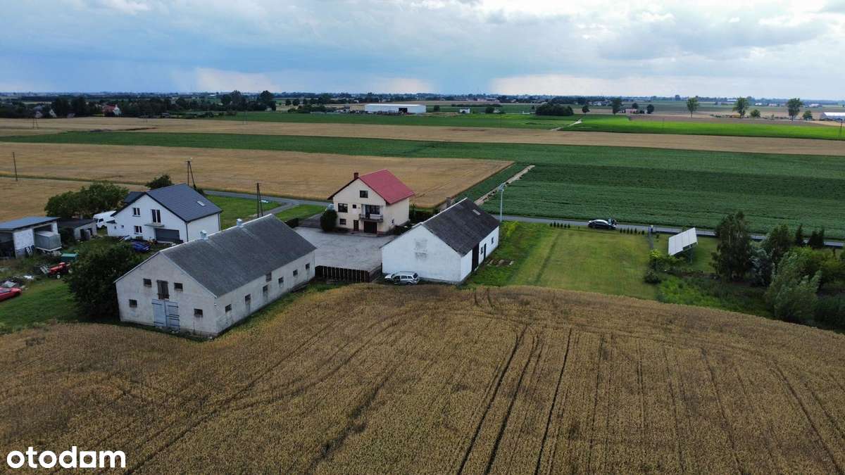 Duży dom 200m2 z działką 1,7ha, 2 budynki gospodarcze, podwórko, piec - Pełny obrazek: 5/9