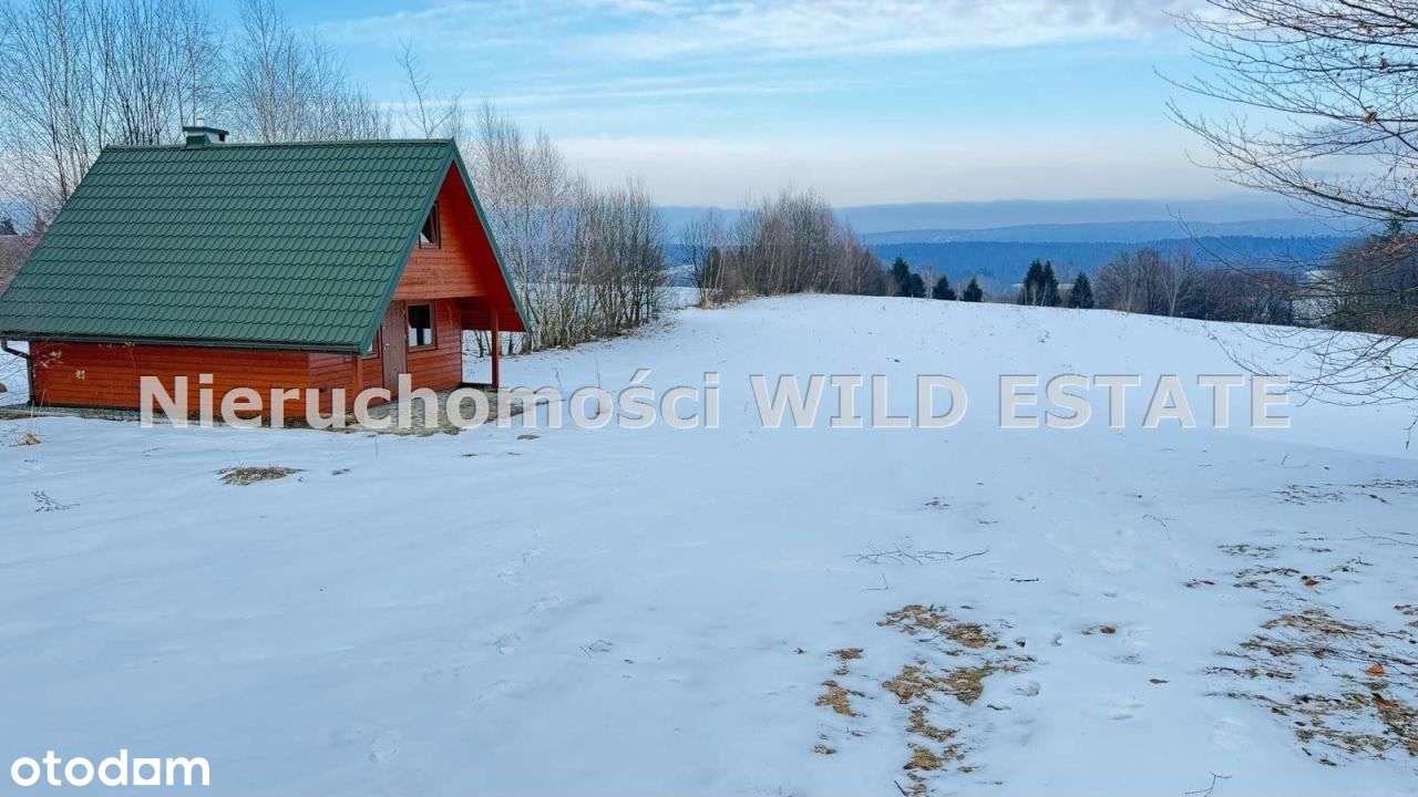 Działka, 11 163 m², Olszanica-4