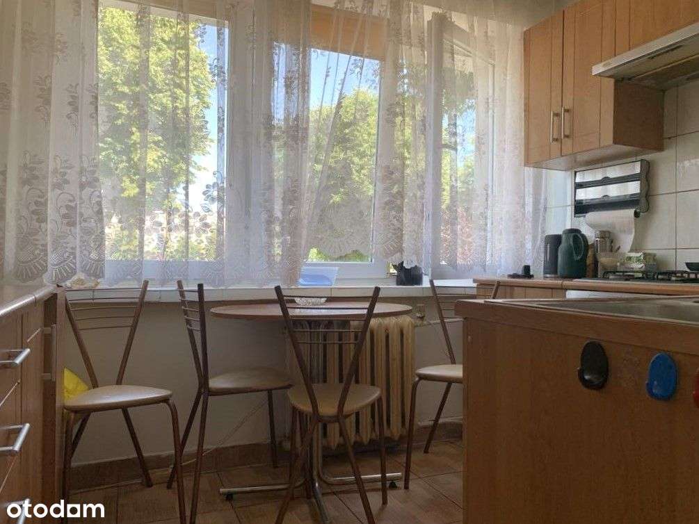 mieszkanie na parterze Koło woj wlkp - Pełny obrazek: 4/13