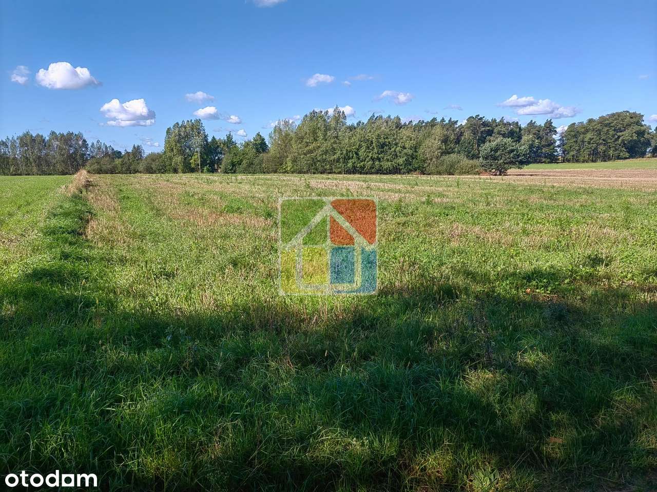Duża działka rolno-budowlana w okolicy Gostynina-2
