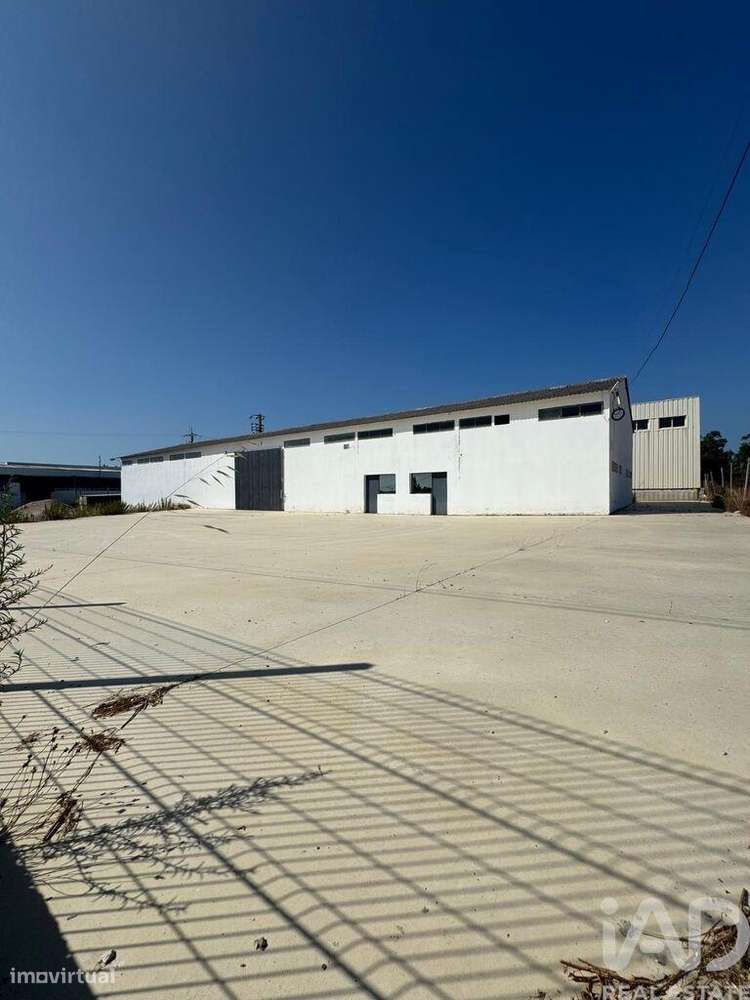 Loja / Estabelecimento Comercial em Madalena e Beselga de 667,00 m2 - Grande imagem: 3/23