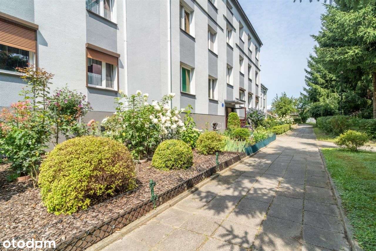 Gotowe do zamieszkania, zielona okolica + garaż-15