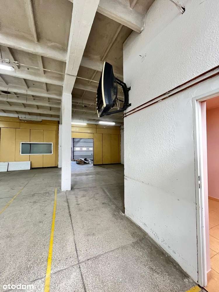 Hala produkcyjno-magazynowa w atrakcyjnej okolicy - Pełny obrazek: 5/8