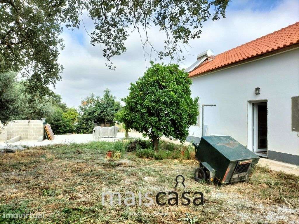 Moradia T3 com Tanque, Terreno e Linha de Água-17