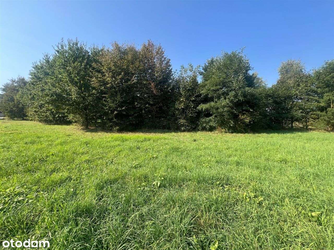 Duża działka w Przeciszowie koło Oświęcimia - Pełny obrazek: 4/8