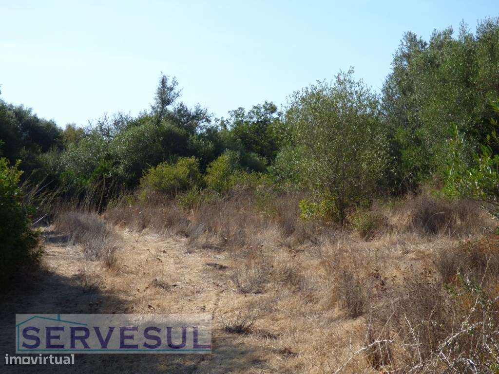 Terreno Rústico com 9.960 m² a apenas 10 minutos da cidade de Silves-14