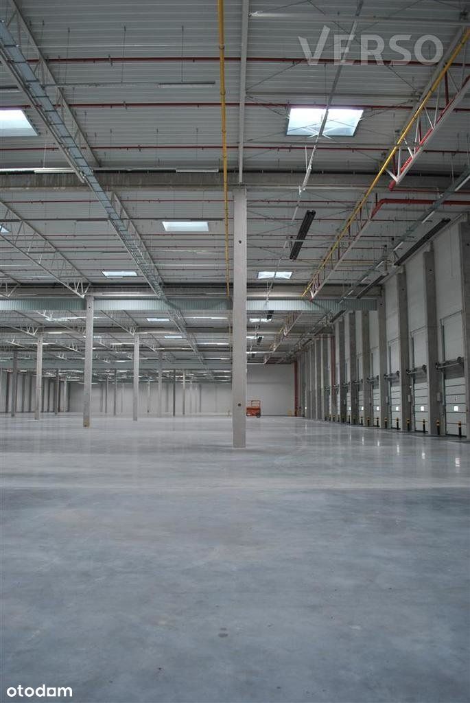 Magazyn/warehouse 5000 sqm. Available immediately