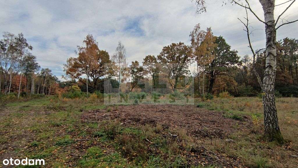 Radzyny - działka budowlana pod lasem-3