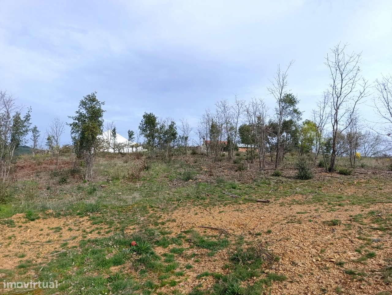 Terreno Rústico em Enxames, Fundão - Grande imagem: 5/36