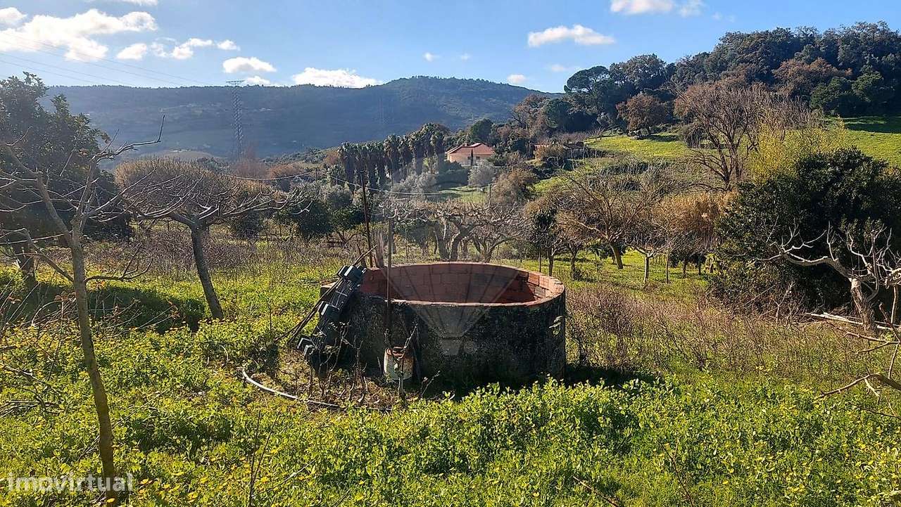 Terreno  para venda-15